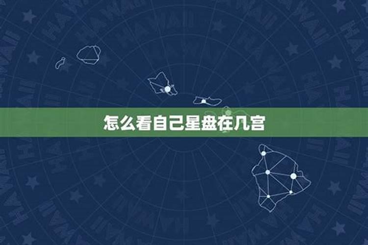 事业看星座第几宫