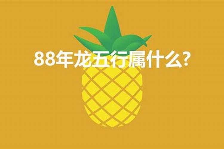 88年龙五行属于什么