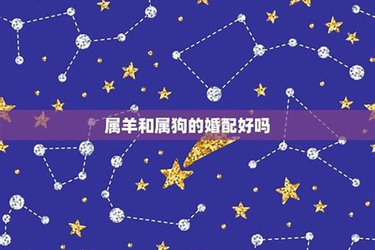 女命八字无官星看婚姻好不好呀