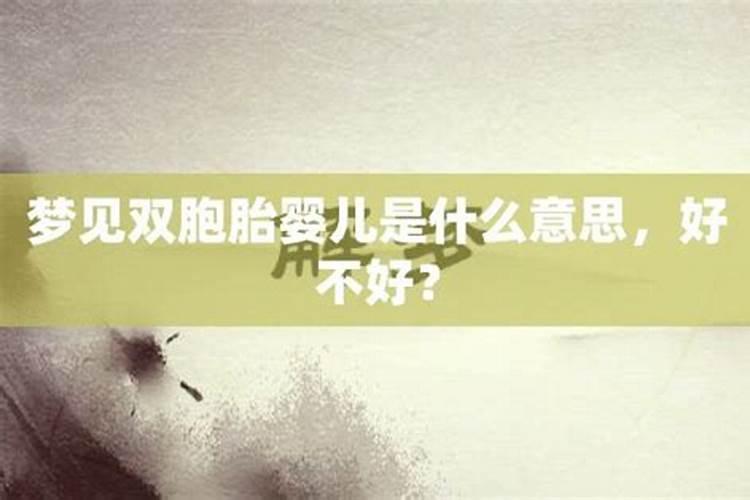 梦见抱双胞胎婴儿好不好