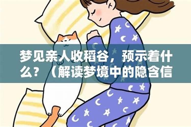 梦见已故的父亲在收稻谷