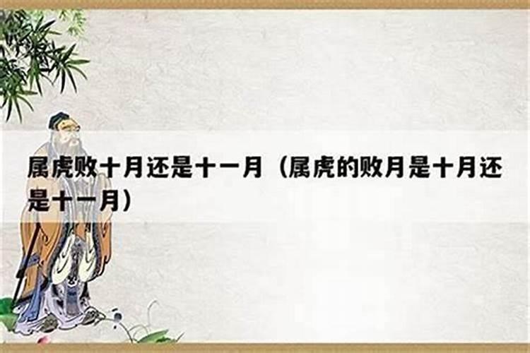 虎农历十月份运势如何看