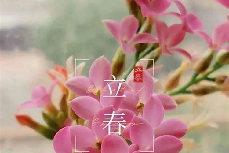 冬至节是哪个节