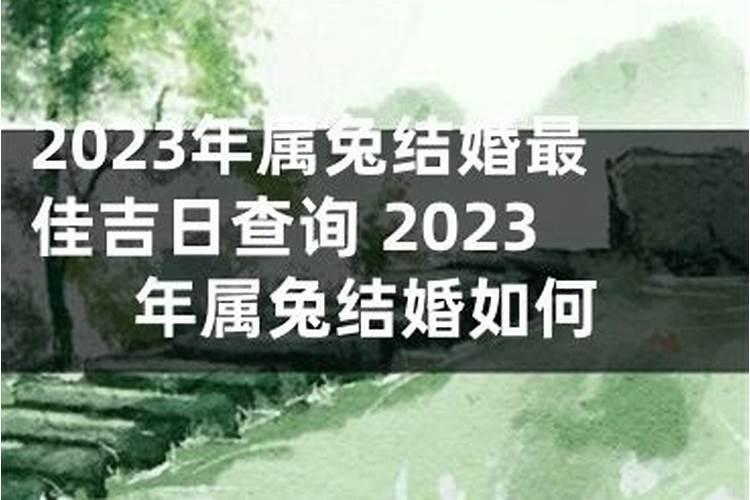 2023年属兔婚姻怎么样