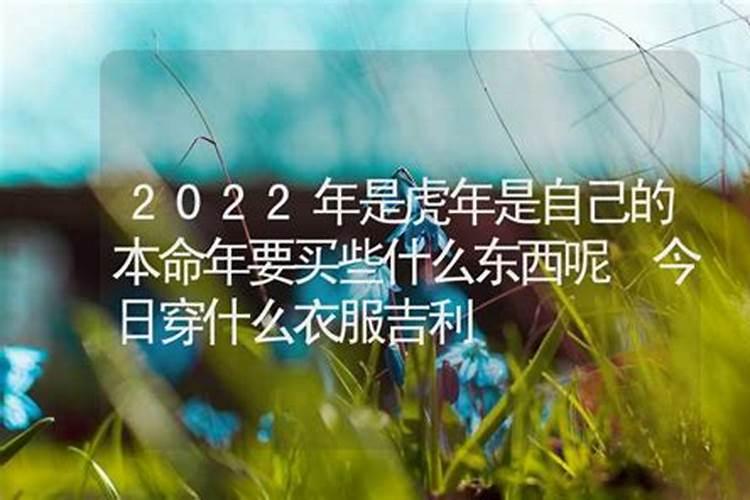 本命年穿什么衣服吉利2022属兔女