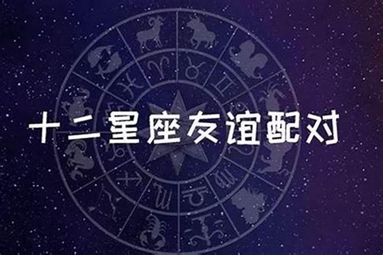 12星座的最佳配对星座