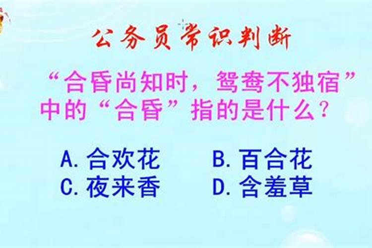 梦见车子没油找不到加油站了