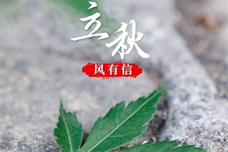 三观不合婚姻还能继续吗