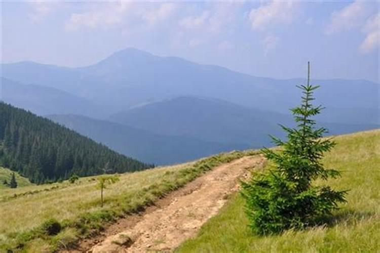 梦见在雨中爬山