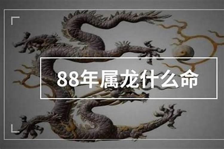 88年龙什么命五行属什么属性