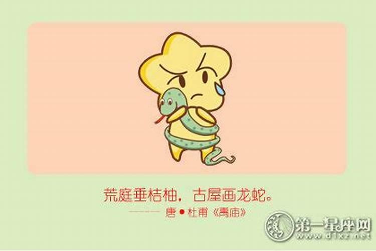 属蛇的女人命好不好