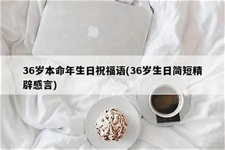 梦见白鹅是什么意思