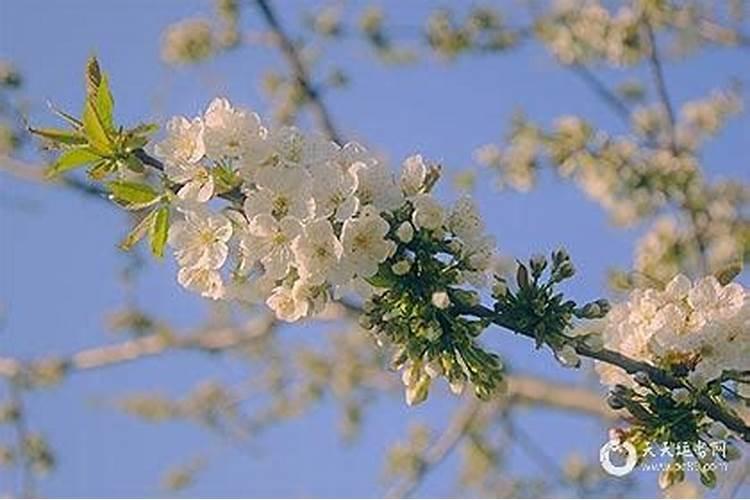 商丘中秋节习俗