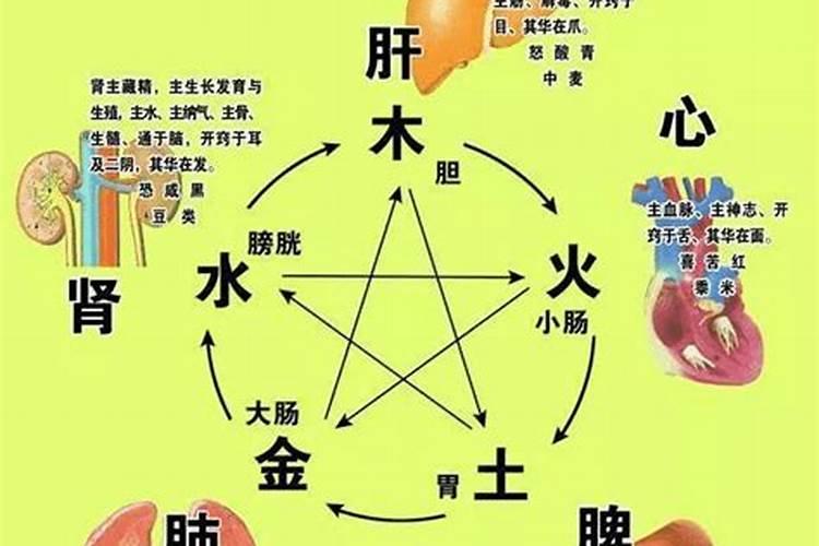 五行与五脏的对应关系的原理