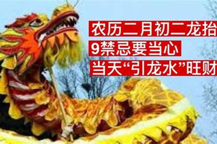 龙抬头当天运气不错