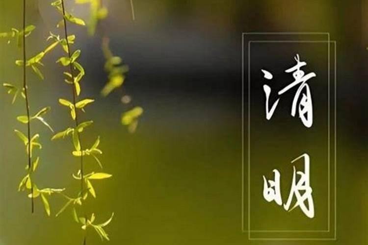 4月4号清明节生的孩子出生