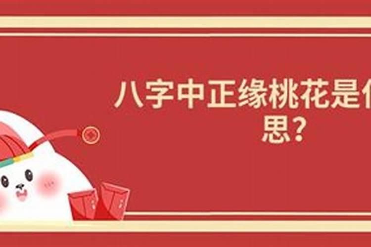 八字中正桃花是什么