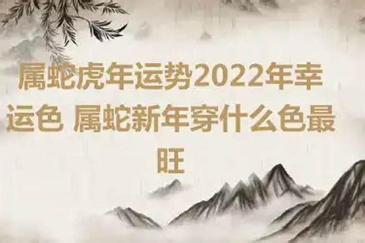 属蛇虎年运势2022年