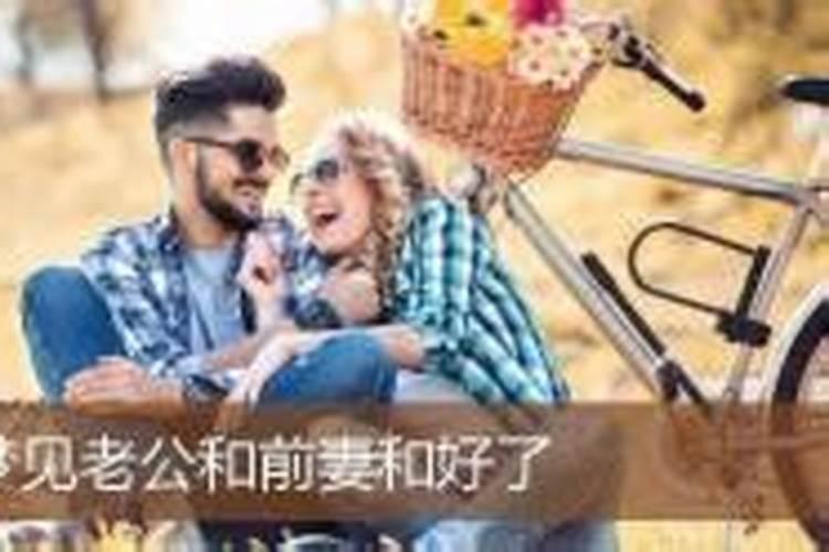 做梦梦见老公和前妻聊天