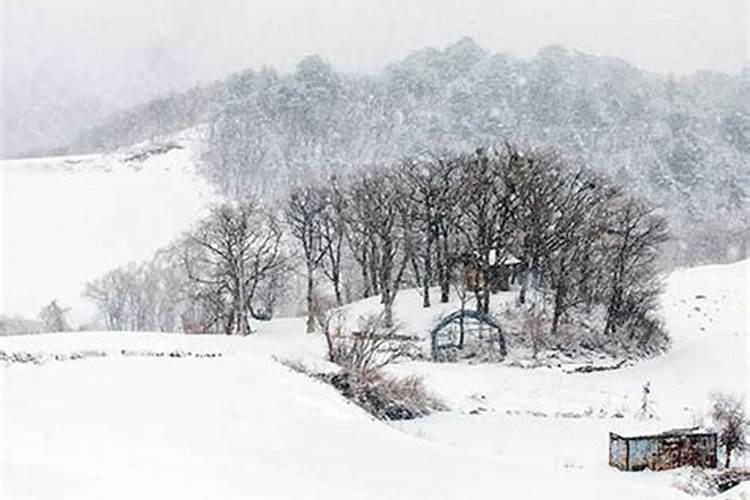 夏天梦见下雪死人什么预兆