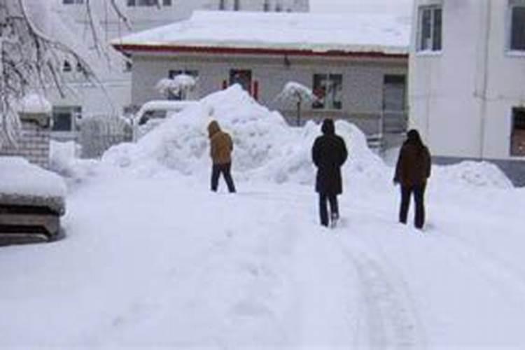 梦见下大雪死了很多人