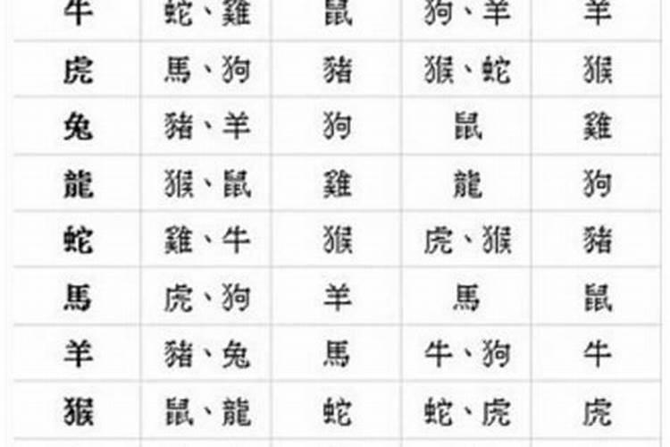 怎么看名字与八字合不合