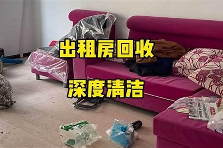 梦见满屋都是老鼠屎