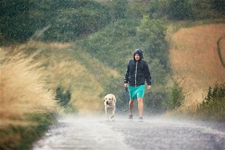 梦见下雨了在雨中跑