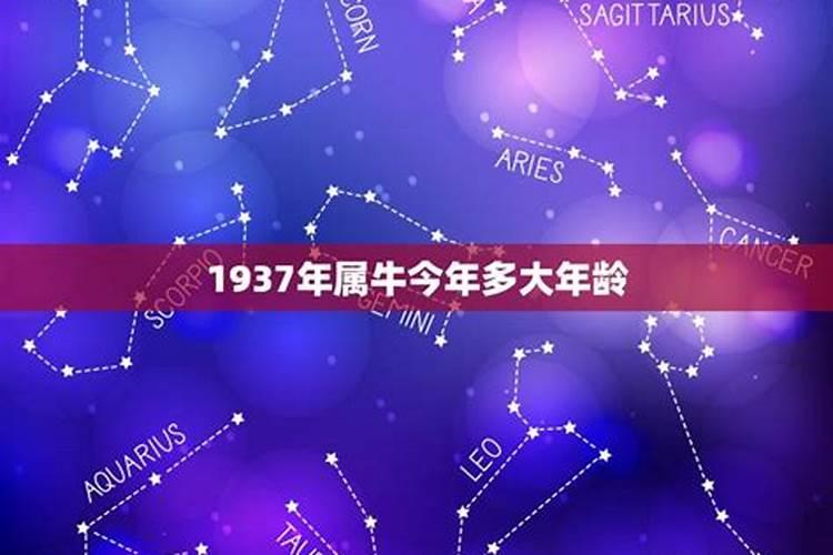 1937年属牛的人今年多大