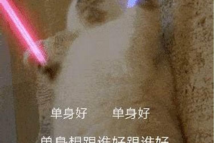 梦见女人一条腿