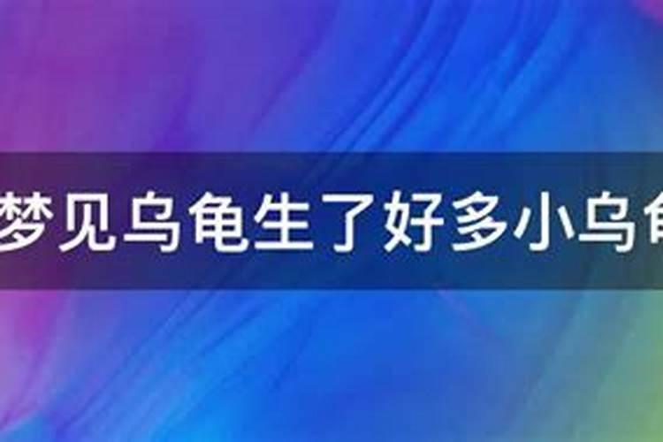 梦到许多乌龟是什么意思周公解梦女人生孩子