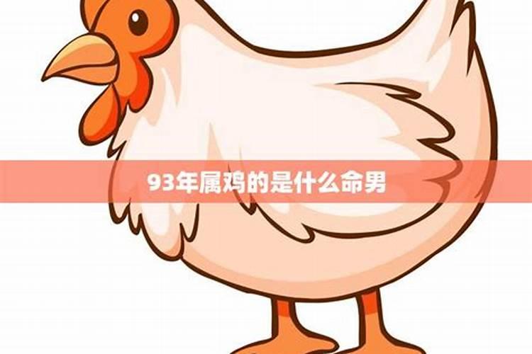 94年属鸡男性格