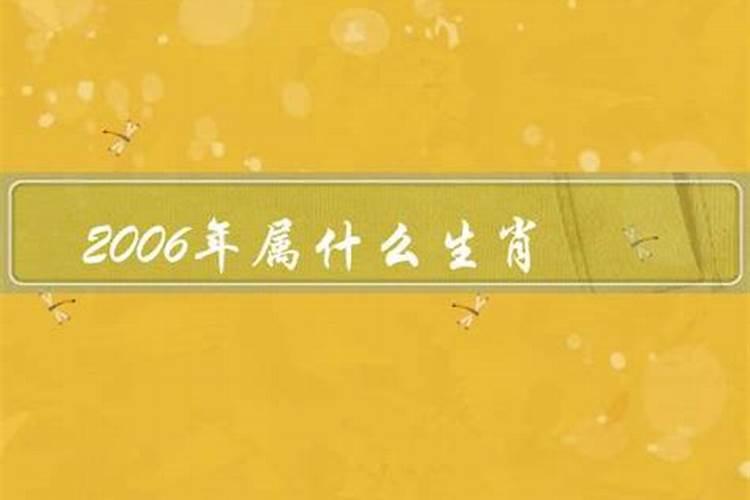 2006年属什么年份