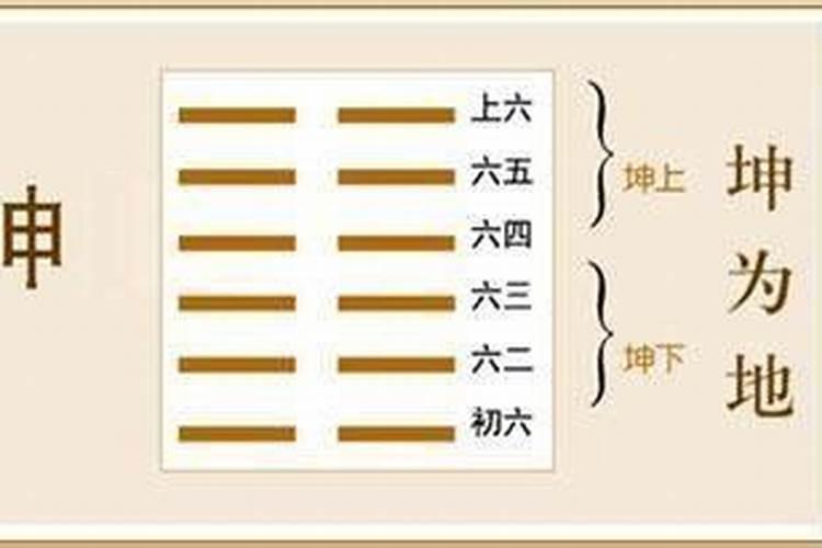 纯阳八字举例解释