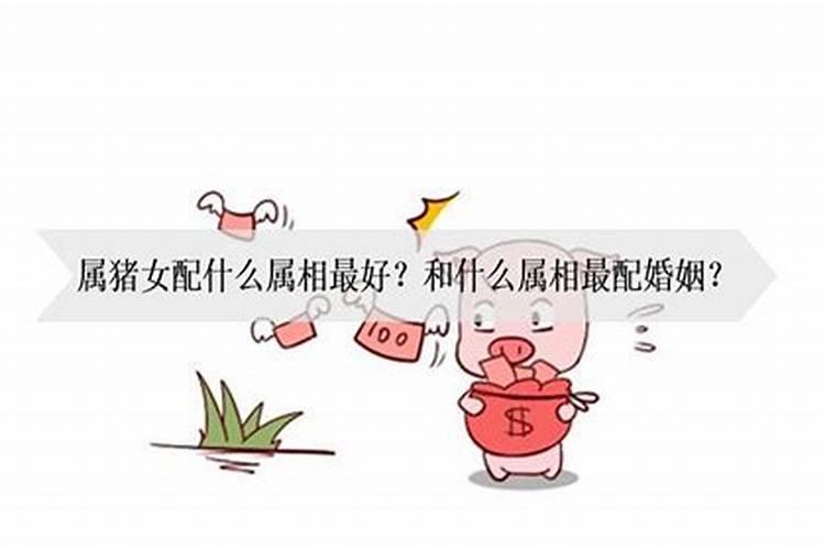 属猪女配什么最好