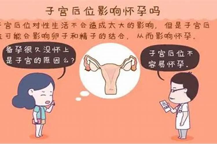 属什么容易怀孕生女孩子