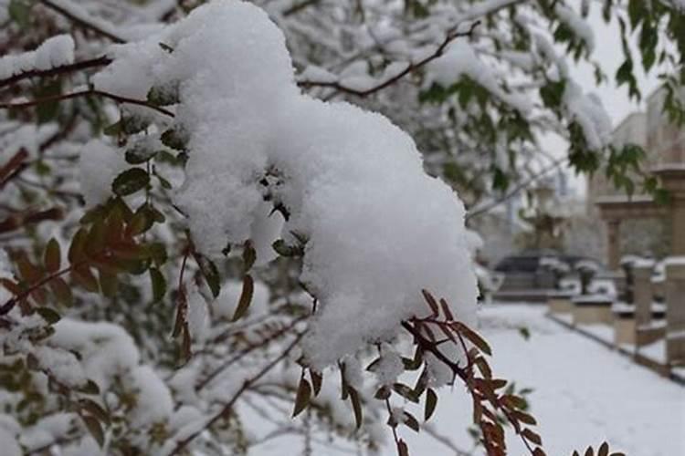 孕妇梦见下雪雪很厚