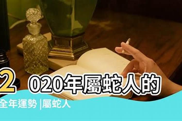 蛇人2020年每月运势如何