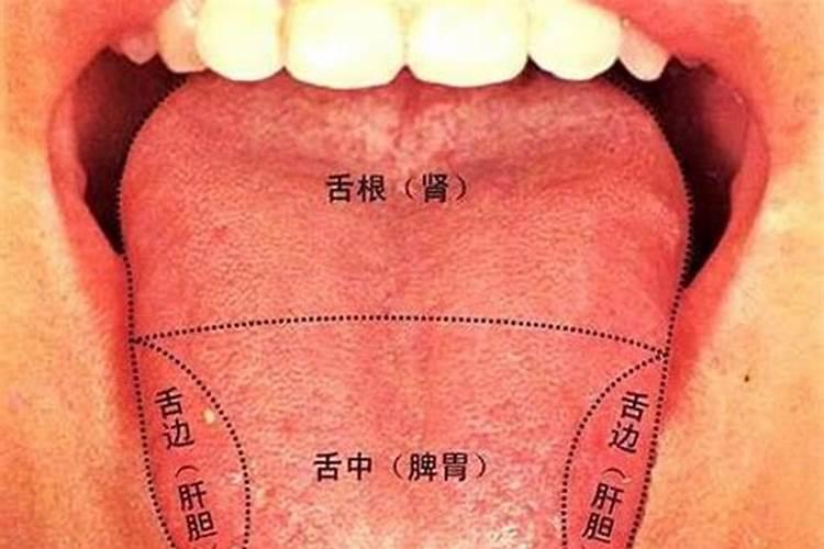 梦见父亲咬舌自尽