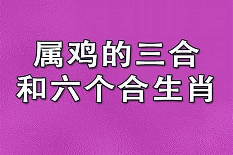 属鸡三合婚姻好吗