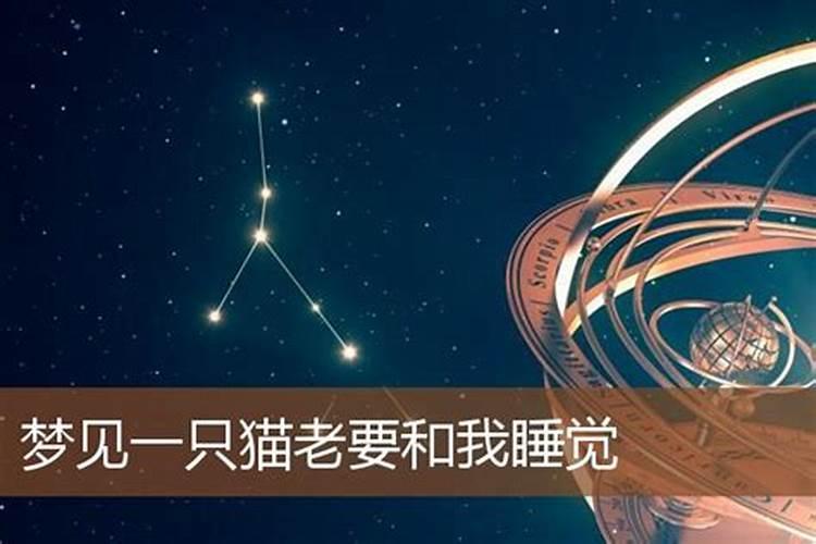 梦见情人来找我要和我睡觉什么意思