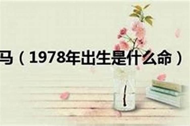 请问1978年是什么命格