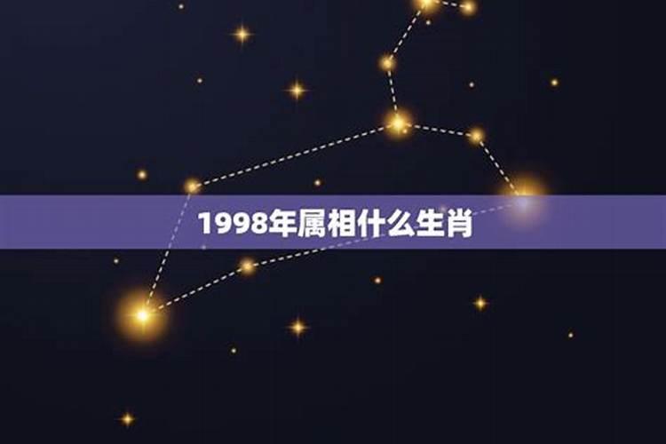 1998年月份生肖