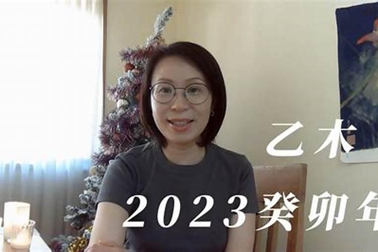 乙已年2023年运势