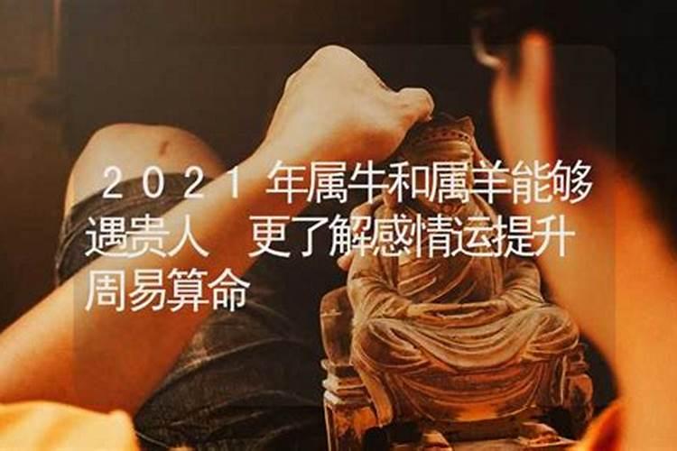 属羊的2021年事业