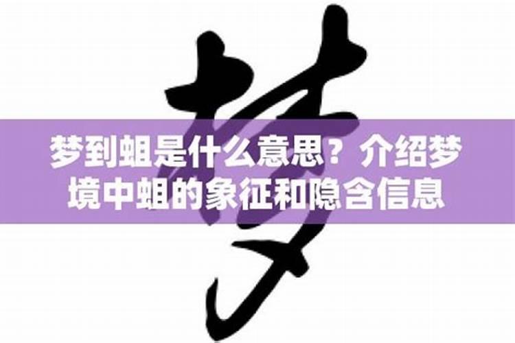 梦到老鼠和蛆是什么意思