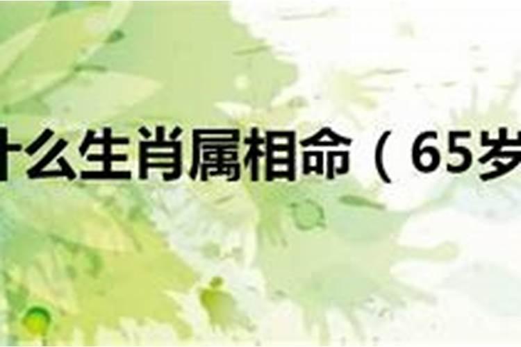 65岁属什么生肖今年多大