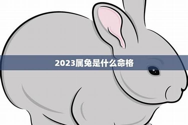 2020年的兔子是什么命格