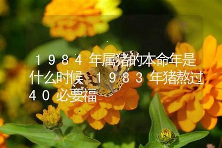 1984年的本命年怎么样