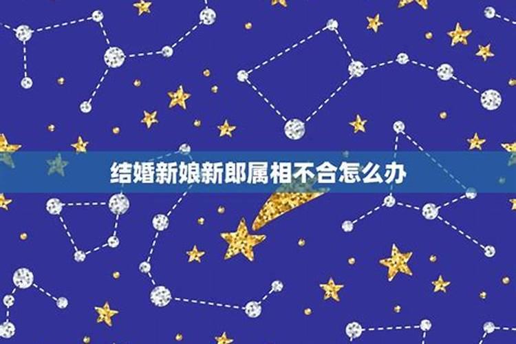 星座合适属相不合怎么办